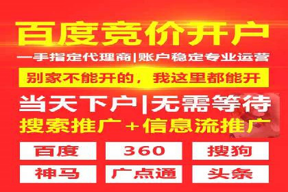行业领先企业的SEM优化之路